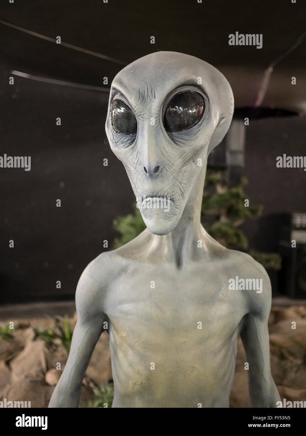 Alien manichino, UFO Museum, Roswell, New Mexico. Foto Stock