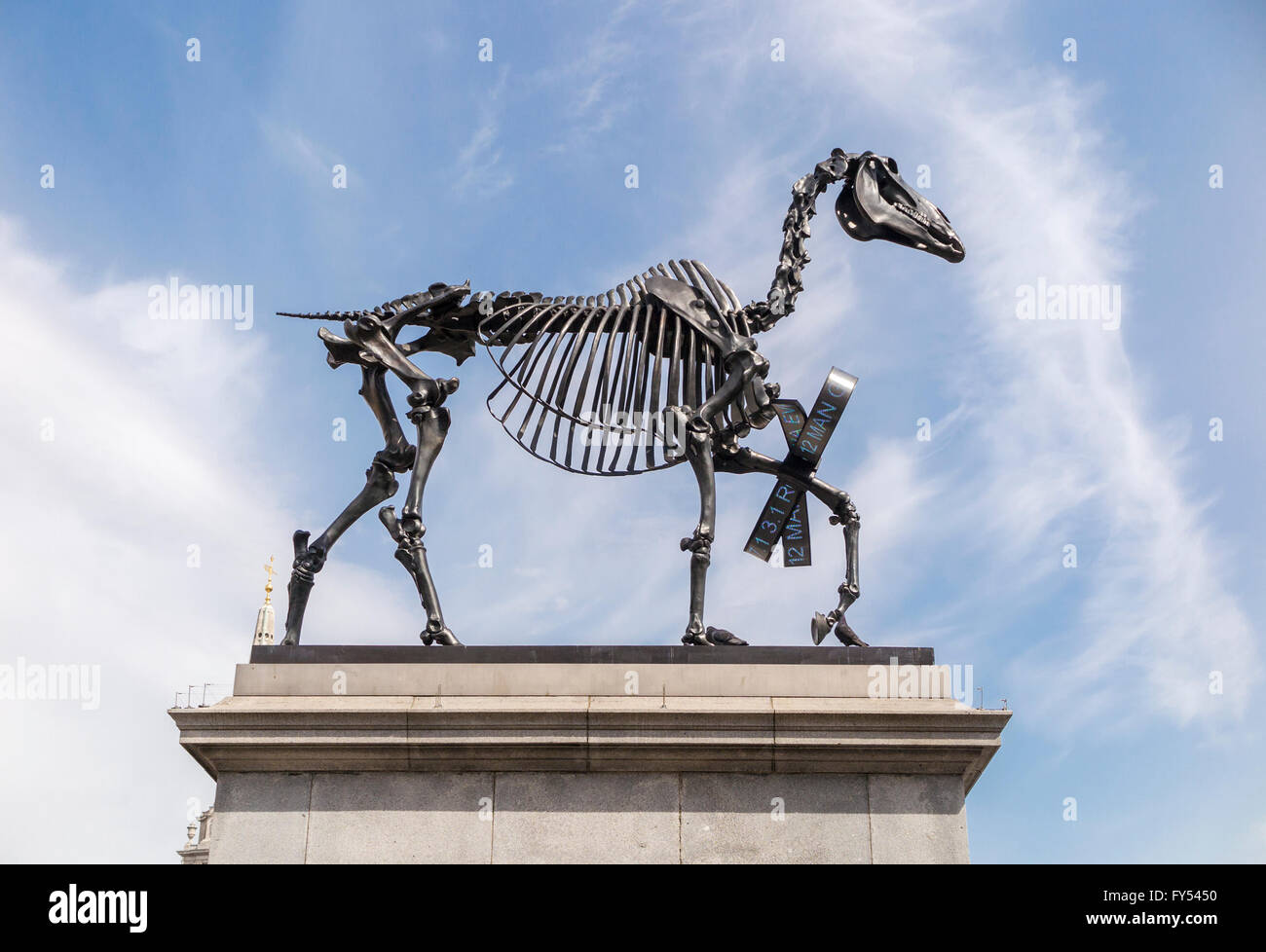 "Regalo" cavallo, una scultura di Hans Haake sul quarto zoccolo in Trafalgar Square, Londra, WC2 REGNO UNITO Foto Stock