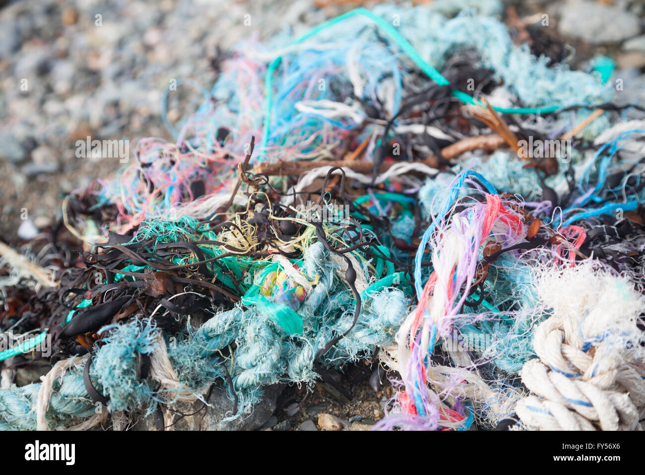 Colorato corda intrecciata, la lenza, plastica, stringa e di alghe trovate su Traeth Penllech spiaggia presso l'alta marea Foto Stock