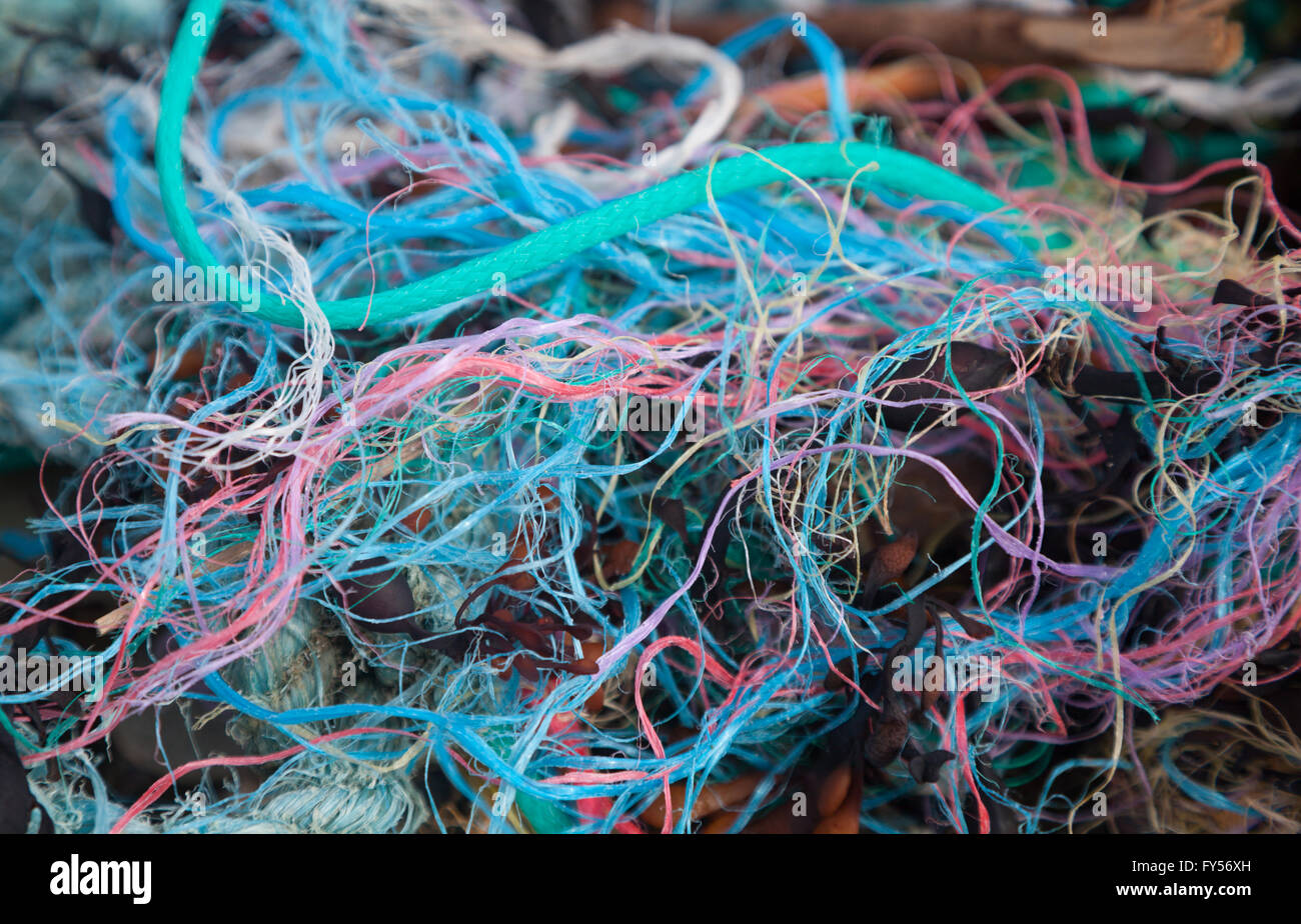 Colorato corda intrecciata, la lenza, plastica, stringa e di alghe trovate su Traeth Penllech spiaggia presso l'alta marea Foto Stock