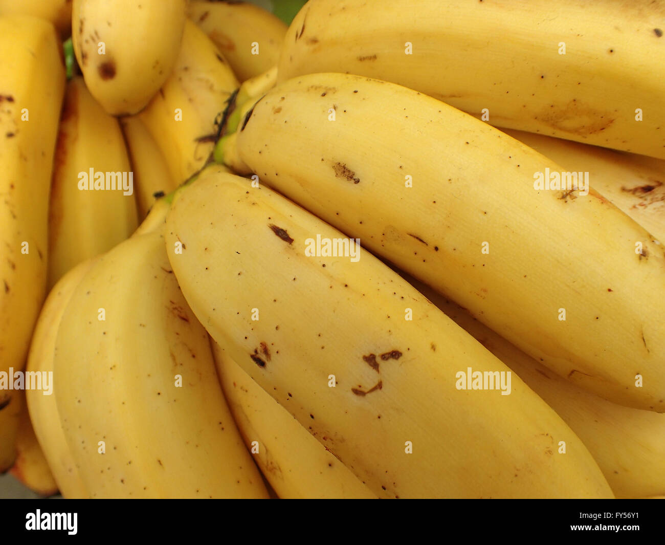 Giallo banane mature per la vendita al mercato degli agricoltori di Maui, Hawaii. Foto Stock