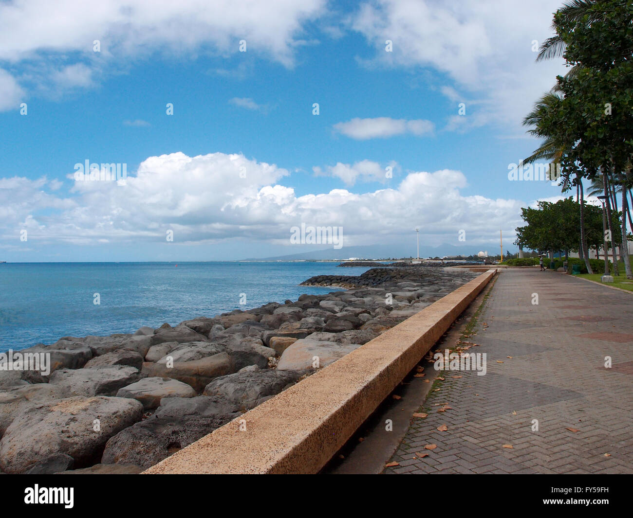 Percorso lungo la parete del mare con piante e Palm tree di rivestimento del percorso in corrispondenza di Kakaako Beach Park, Honolulu, Hawaii. Foto Stock