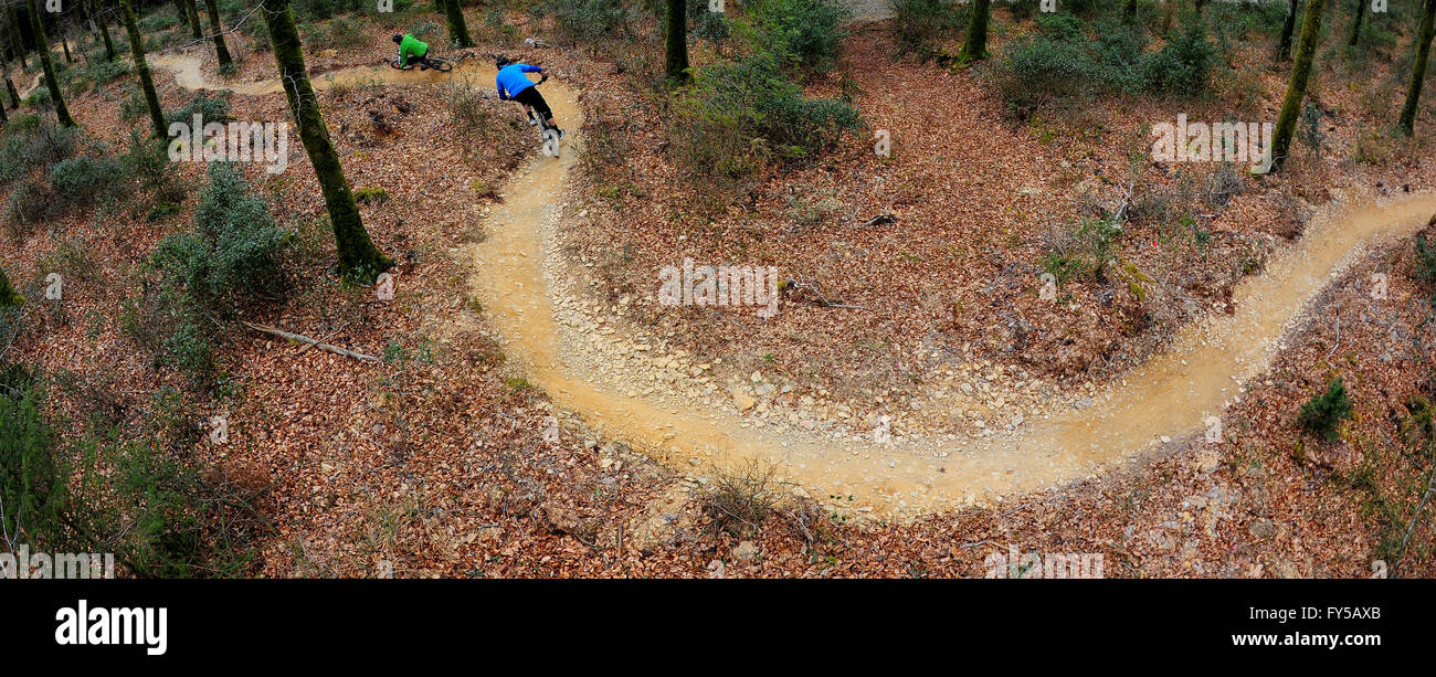 Due uomini cavalcano mountain bike sui sentieri di Cardinham Woods, Cornovaglia. Foto Stock