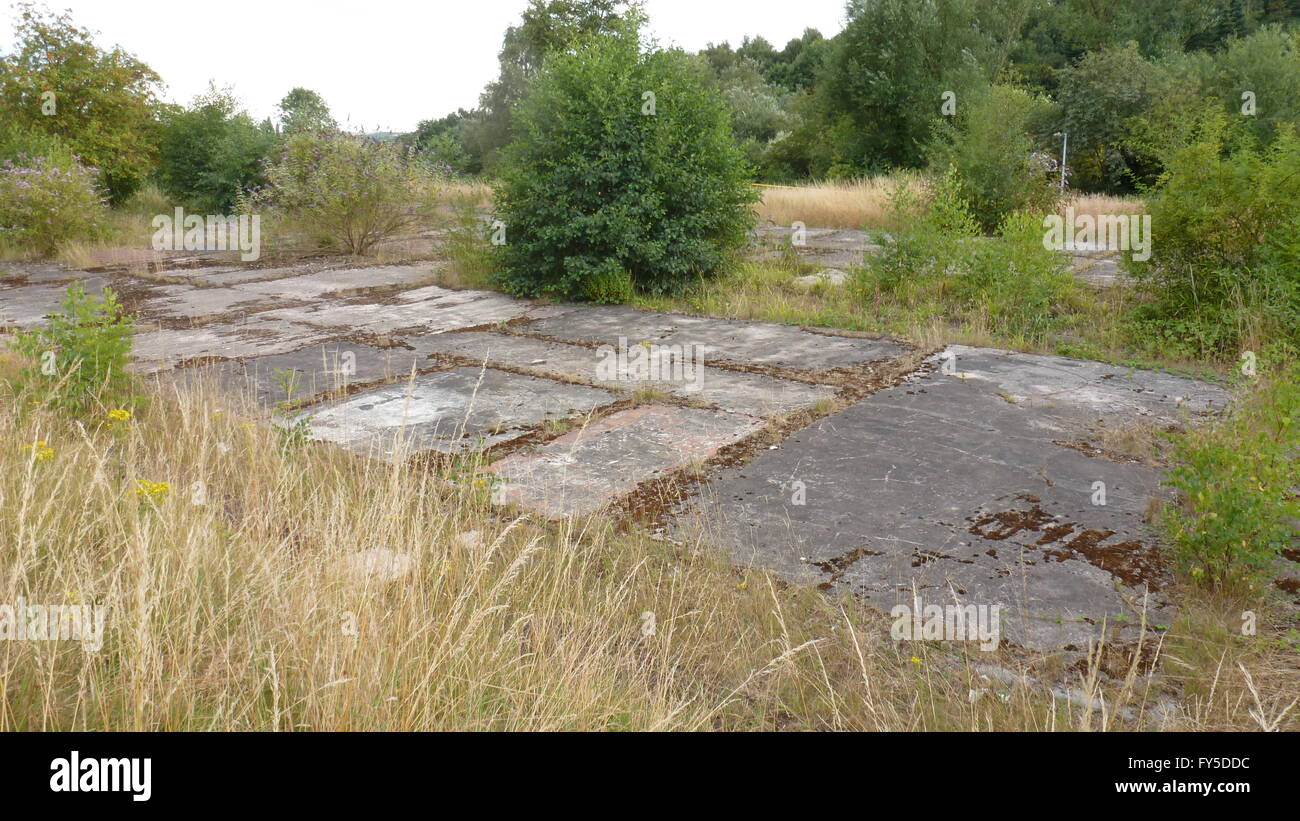 Sito Brownfield mostrando piazzole di calcestruzzo colonizzate dalla vegetazione Foto Stock