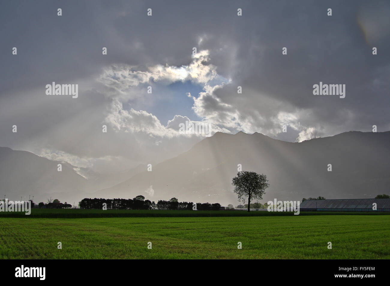 I raggi del sole attraverso la rottura temporale nubi su terreni agricoli Foto Stock