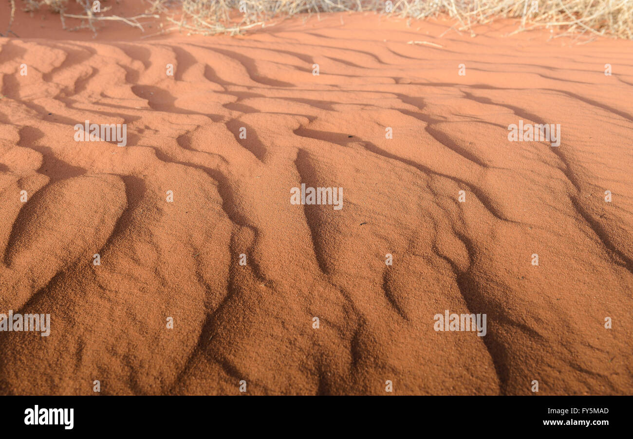 Ondata di deserto di sabbia dopo l'erosione di vento, deserto dell'Arizona, Monument Valley Foto Stock