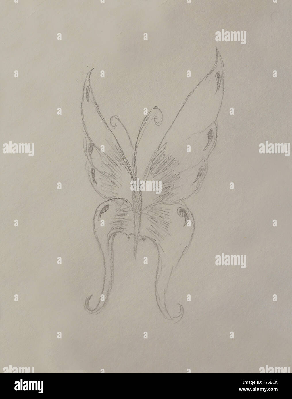 Illustrazione Di Una Farfalla Disegno A Matita Su Carta