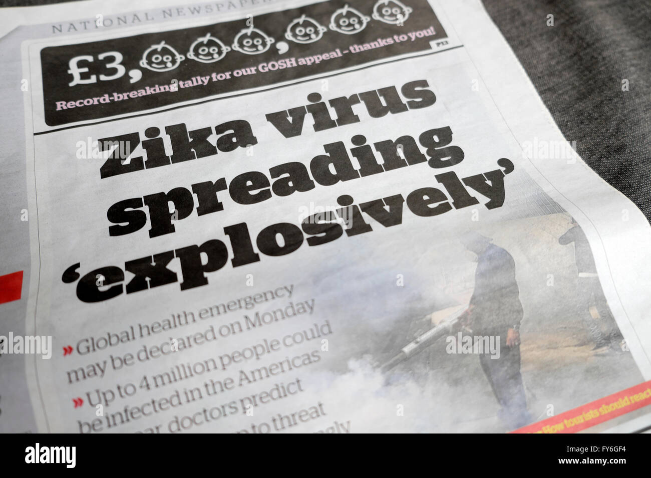 Giornale indipendente front page headline ZIKA DIFFUSIONE DI VIRUS "esplosivo" 29 Gennaio 2016 LONDON REGNO UNITO Foto Stock