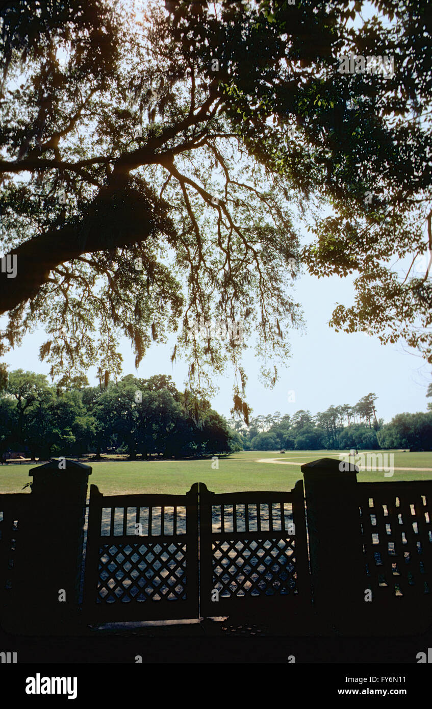 Recinzione & GATE; Middleton Place; c1741; originariamente 50.000 acri di piantagione di riso; Charleston, Carolina del Sud e Stati Uniti d'America Foto Stock