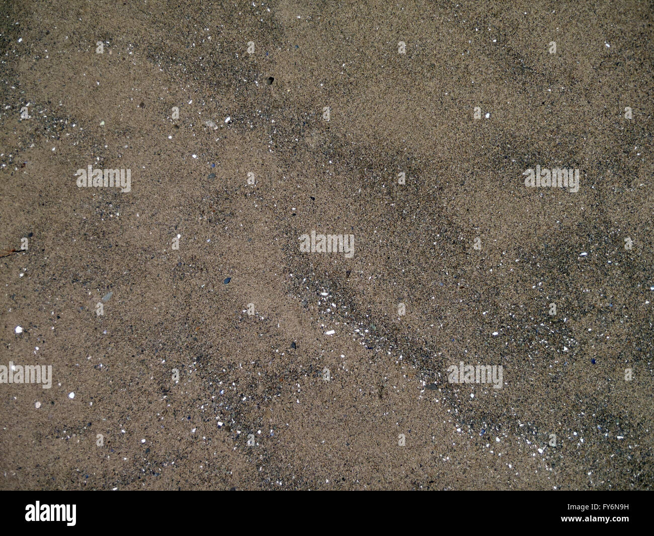 Spiaggia di sabbia patten texture con con conchiglie bianche da Angel Island spiaggia di Cava. Foto Stock