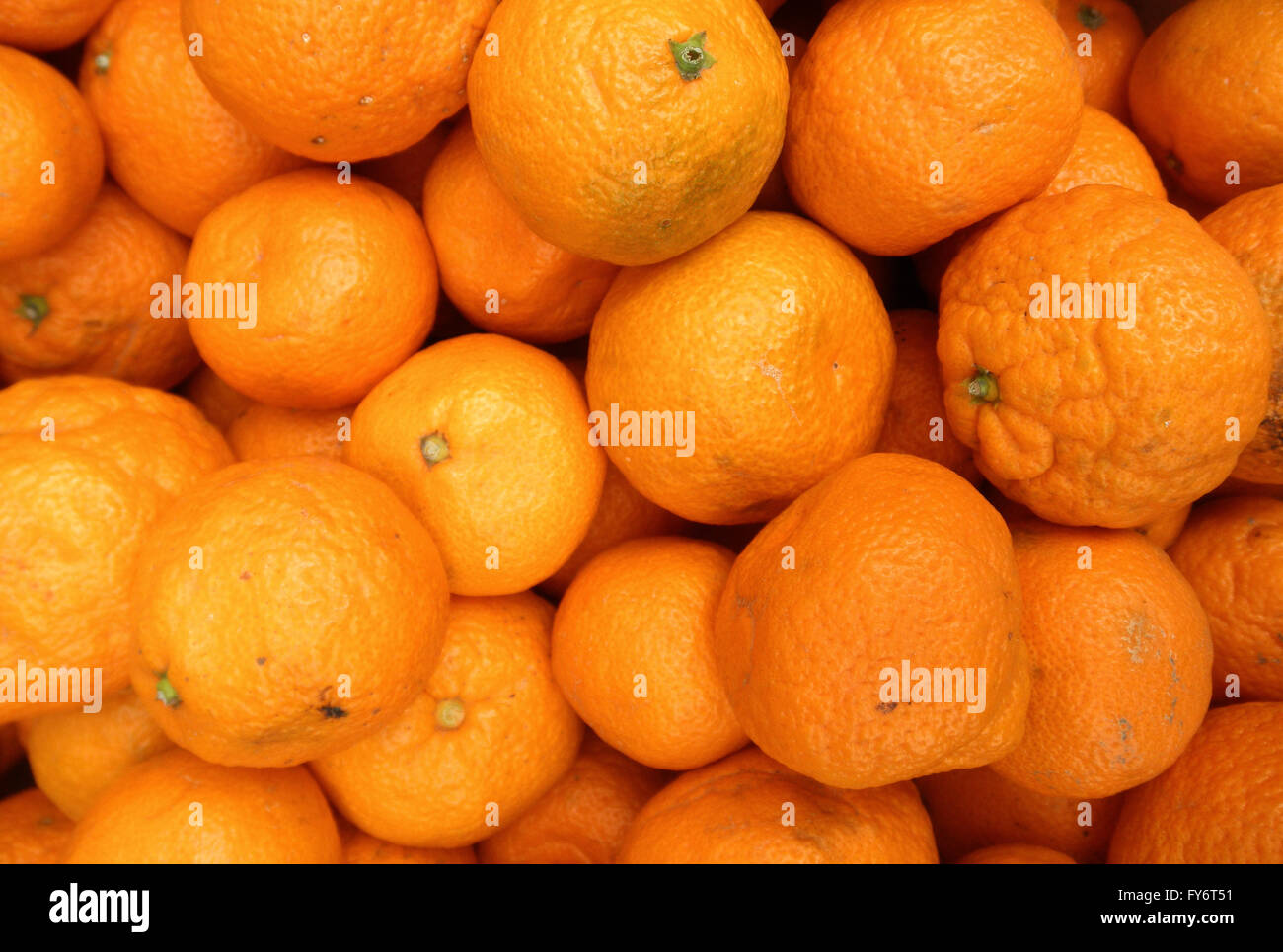 Tangerini al mercato degli agricoltori in San Francisco Foto Stock