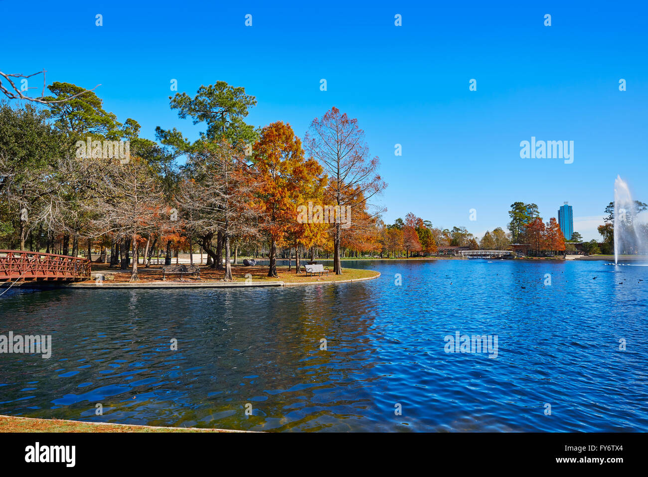 Houston Hermann Park conservancy Mcgovern lago in autunno in Texas Foto Stock