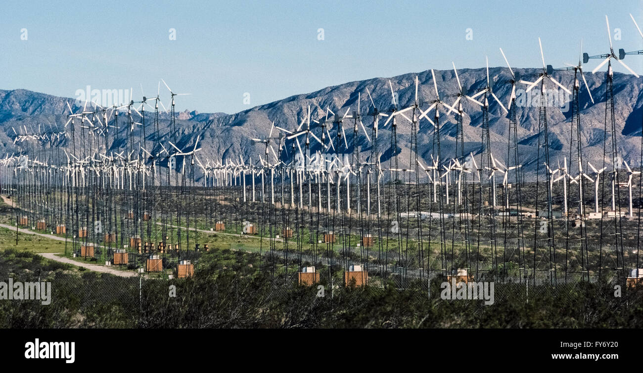 Le turbine eoliche in San Gorgonio Mountain Pass aiutano a fornire energia elettrica a Palm Springs e di altre comunità del deserto nella Coachella Valley in California, Stati Uniti d'America. Essi sono parte di uno dei più grande dell'America del fattorie del vento che ha più di 4.000 turbine si diffondono attraverso una zona di vento che copre il 70 miglia quadrate (181 chilometri quadrati). Eretto negli anni ottanta, queste sono state fra le prime turbine eoliche per generare elettricità in California del sud come alternativa e la fonte di energia rinnovabile. Foto Stock