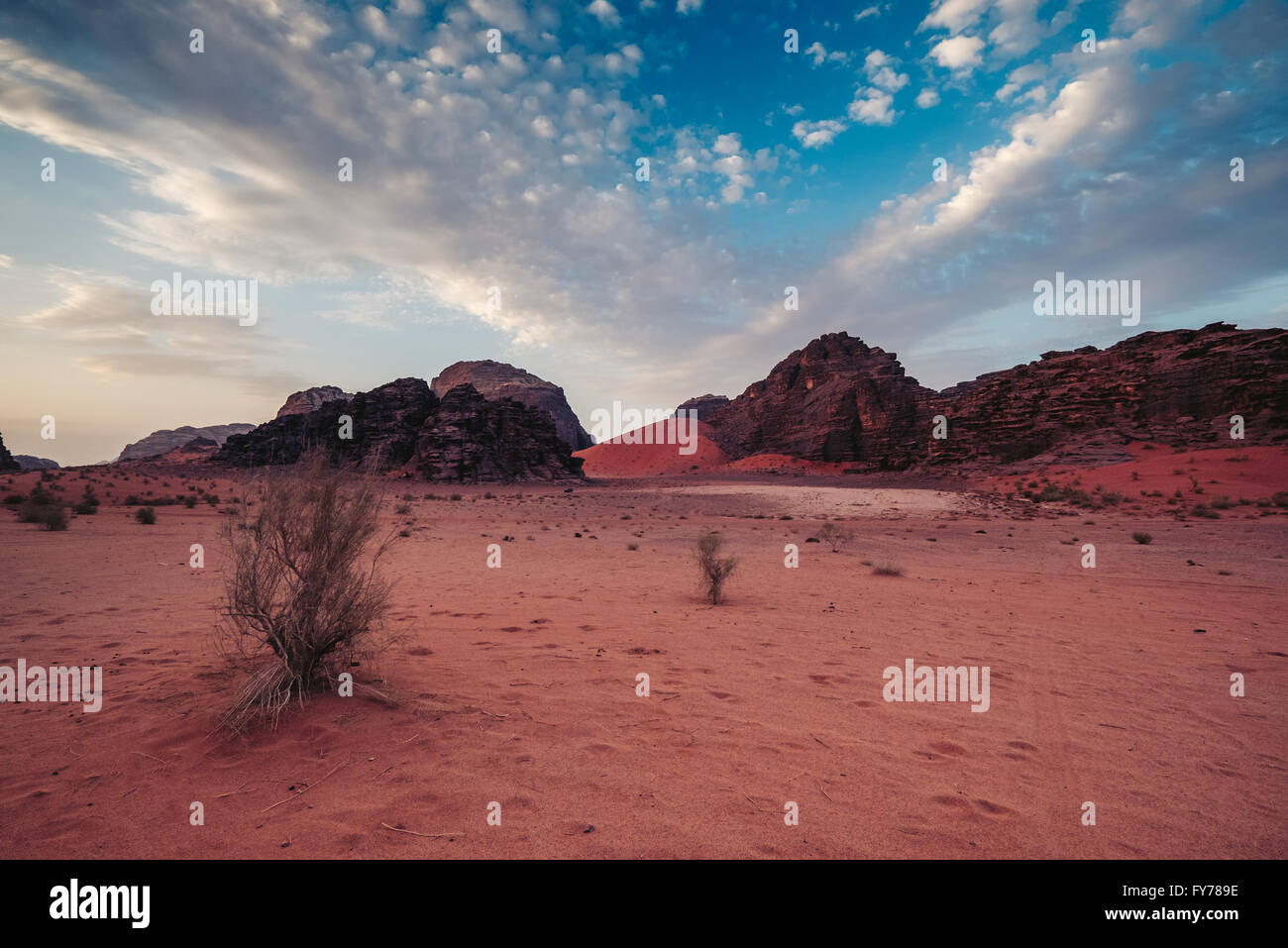 La mattina presto al Wadi Rum desert. Giordania Foto Stock