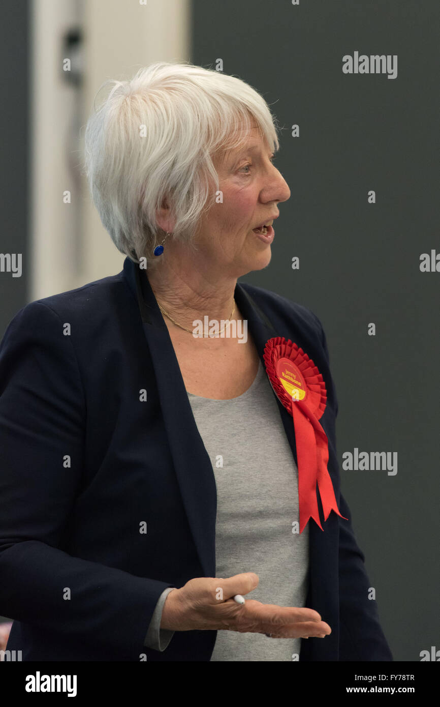 Jenny Rathbone manodopera AM per Cardiff Central presso il National Assembly for Wales. Foto Stock