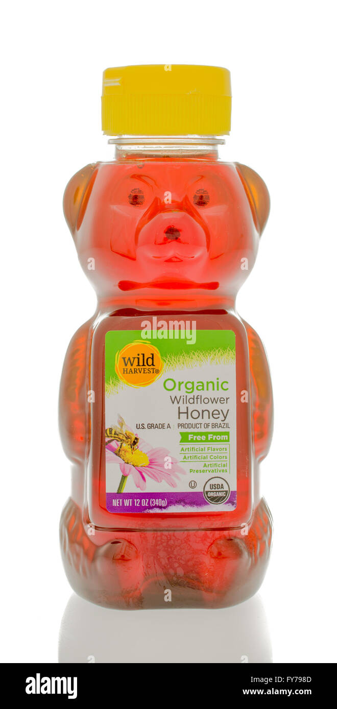 Winneconne, WI - 25 Feb 2016: Bottiglia di Wild organico raccolto di miele millefiori, un prodotto del Brasile Foto Stock