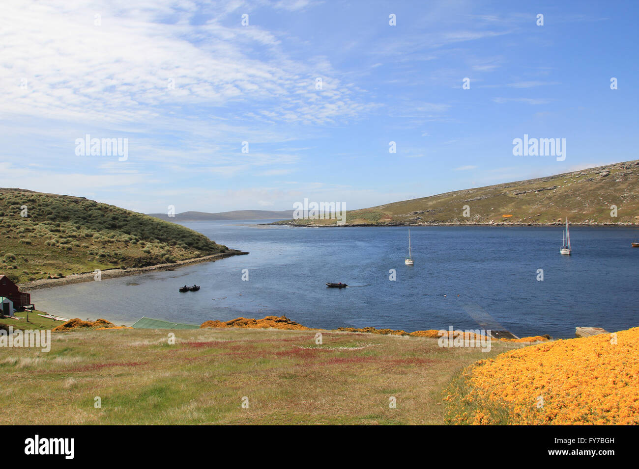 Il porto naturale di West Point Island, Isole Falkland Foto Stock