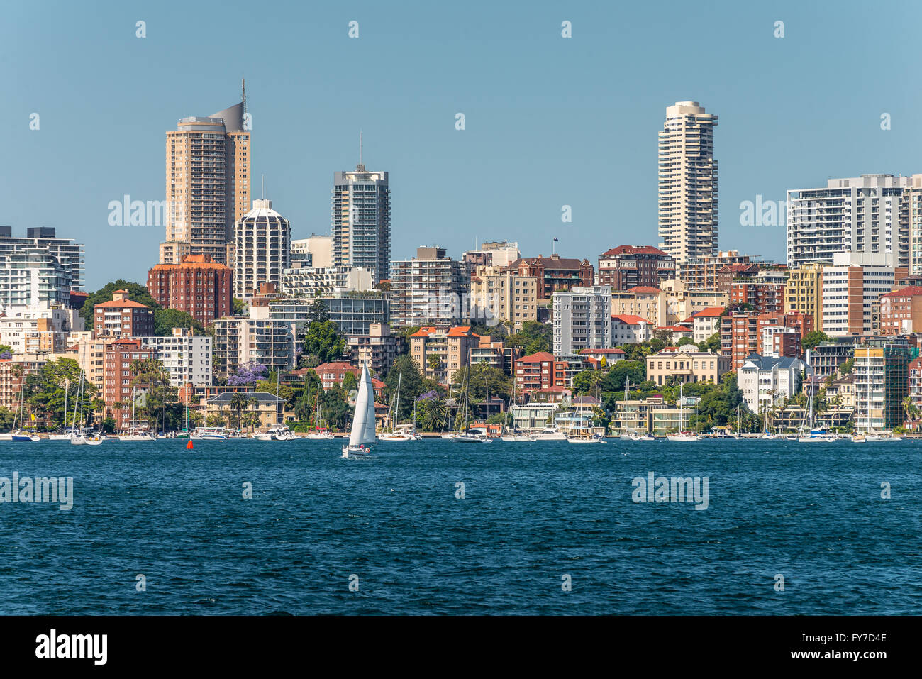 La vista della città di Sydney Skyline - Elizabeth Bay, Sydney, Australia. Elizabeth Bay è un harbourside sobborgo di Sydney orientale Foto Stock
