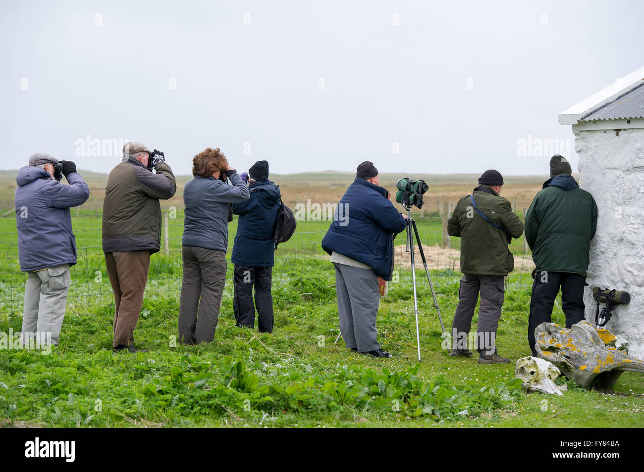 Gli appassionati di birdwatching cercano il gambero di mais (Crex Crex ) o Landrail, la riserva naturale Balranald, North Uist, Outer Ebrides, Scozia, REGNO UNITO. Foto Stock