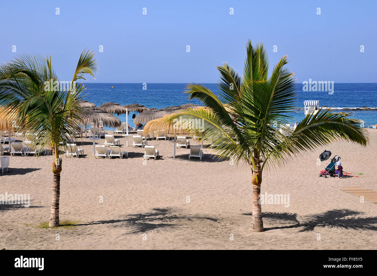 Spiaggia e palme sulla costa adeje della parte sud-ovest di Tenerife spagnole nelle isole Canarie Foto Stock
