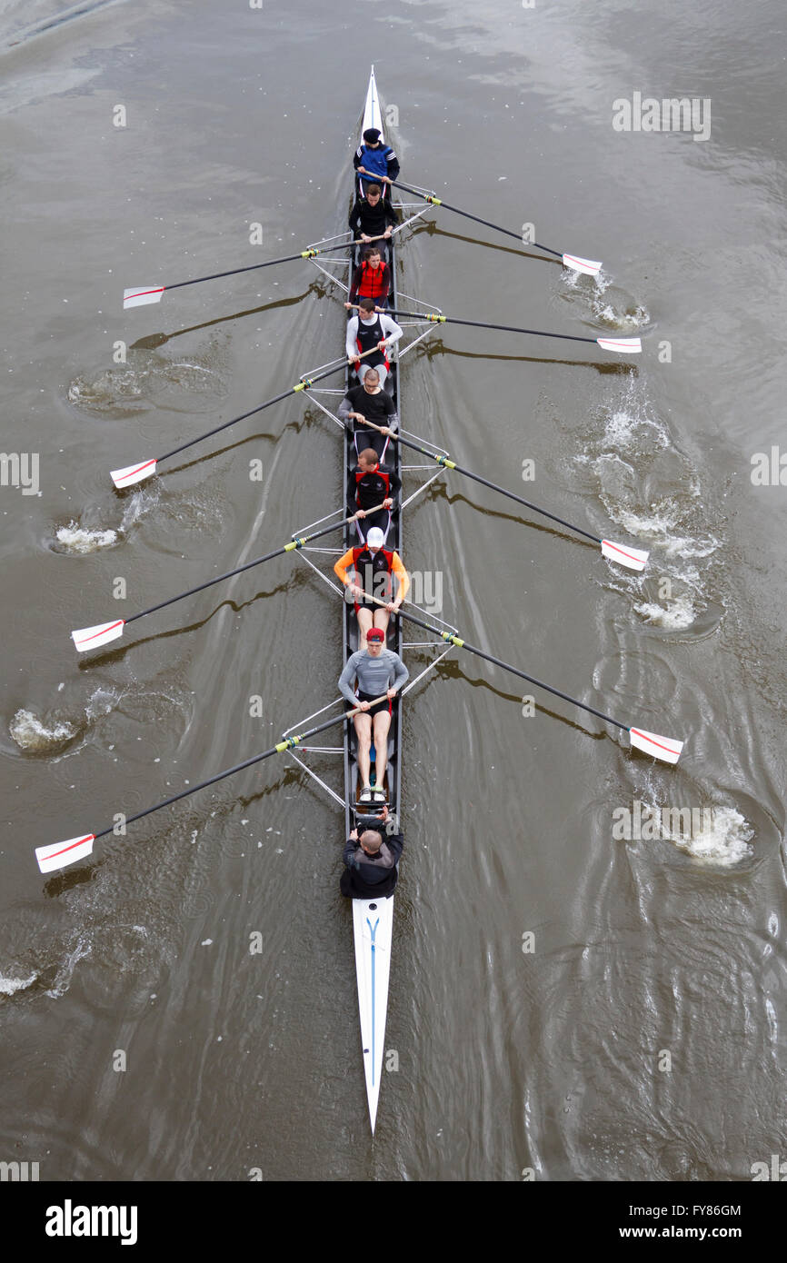 Amateur Otto con timoniere durante il corso di formazione sul fiume Odra. Wroclaw. La Polonia. Foto Stock