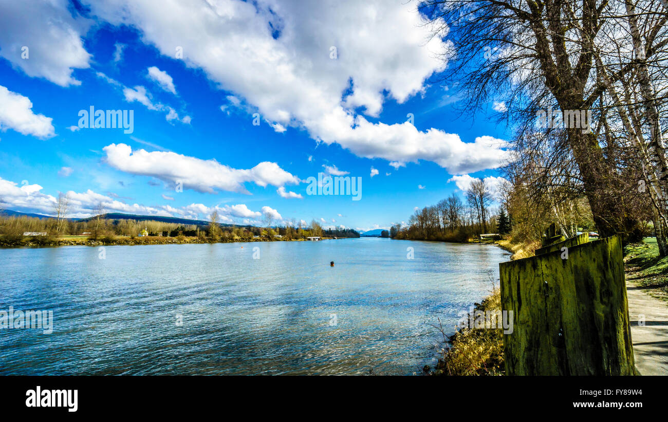 Il possente fiume Fraser come esso fluisce oltre il villaggio storico di Fort Langley nella splendida British Columbia, Canada su una soleggiata giornata invernale Foto Stock