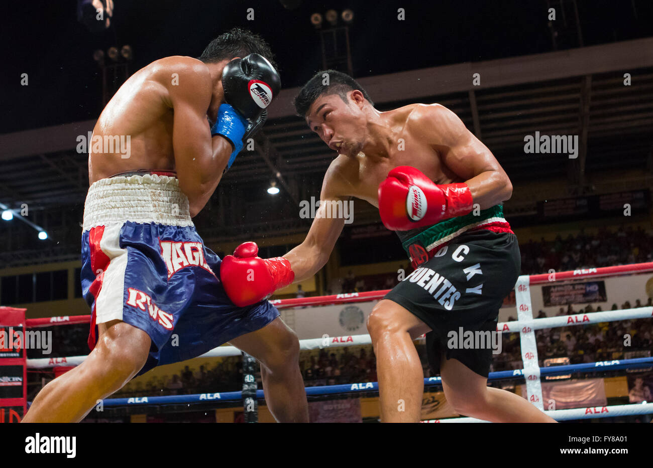 23/4/2016 Cebu City Sport complesso,Cebu, Filippine Rocky "road warrior" Fuentes vs Romnick 'Daredevil' Magos Foto Stock