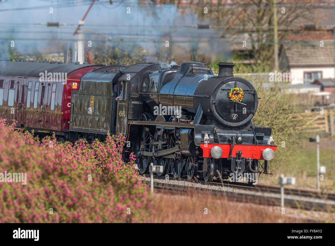 LMS Giubileo classe 6P 4-6-0 n. 45690 Leander locomotiva a vapore con la velocità con la Salopian Railtour passando Winwick junction Foto Stock