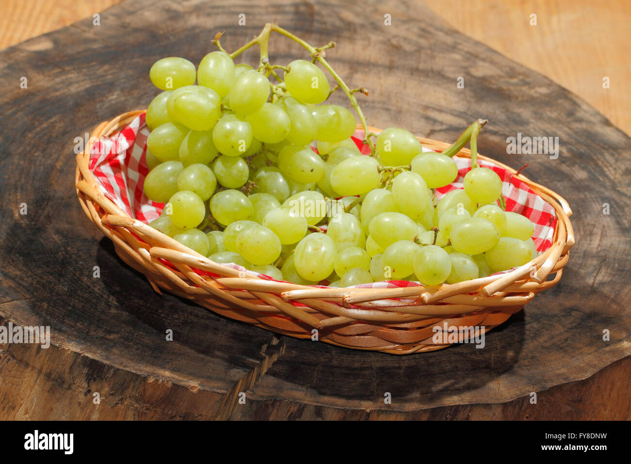 Appena le uve raccolte in un cestello Foto Stock