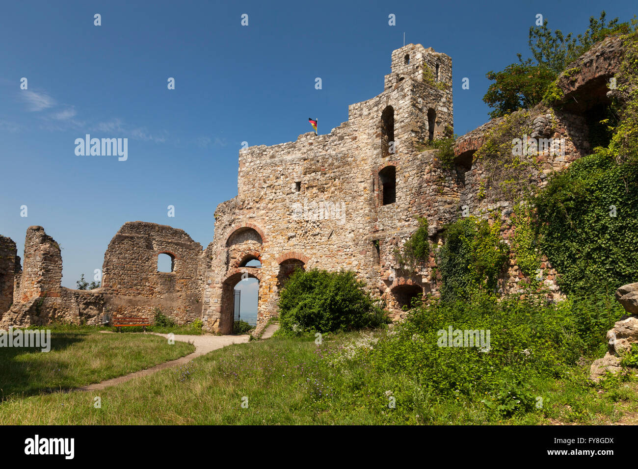 Staufen rovine del castello, Staufen im Breisgau, Foresta Nera, Baden-Württemberg, Germania Foto Stock