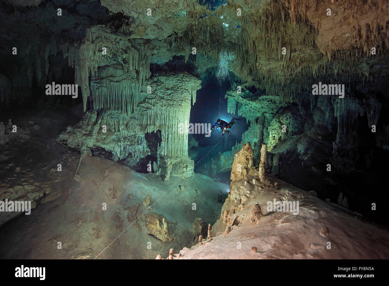 Messico, Yucatan, Tulum, grotta subacqueo nel sistema Nohoch Na Chich Foto Stock