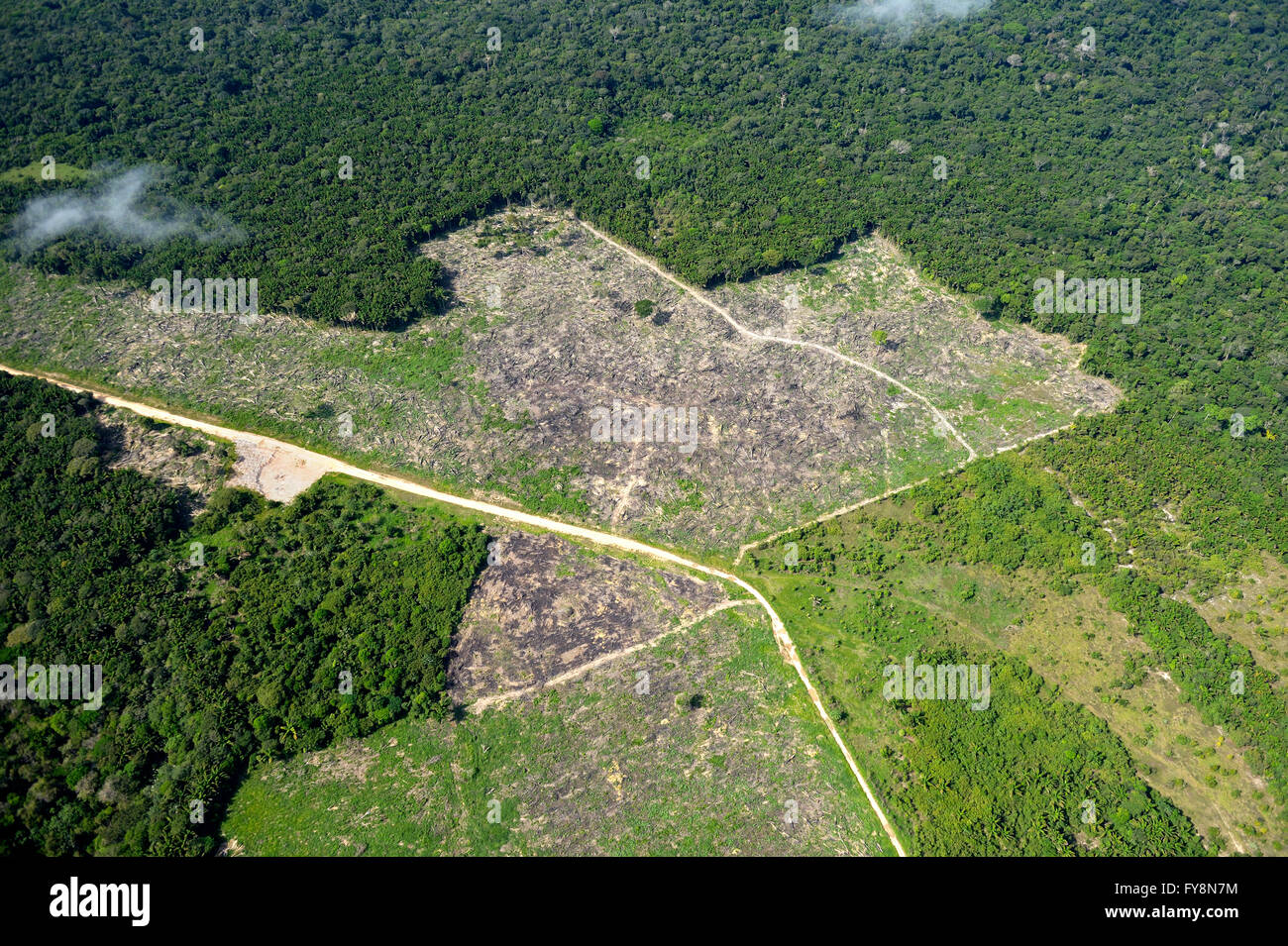 Il Brasile, Para Itaituba, la foresta pluviale amazzonica slash e masterizzare, bonifica dei pascoli Foto Stock