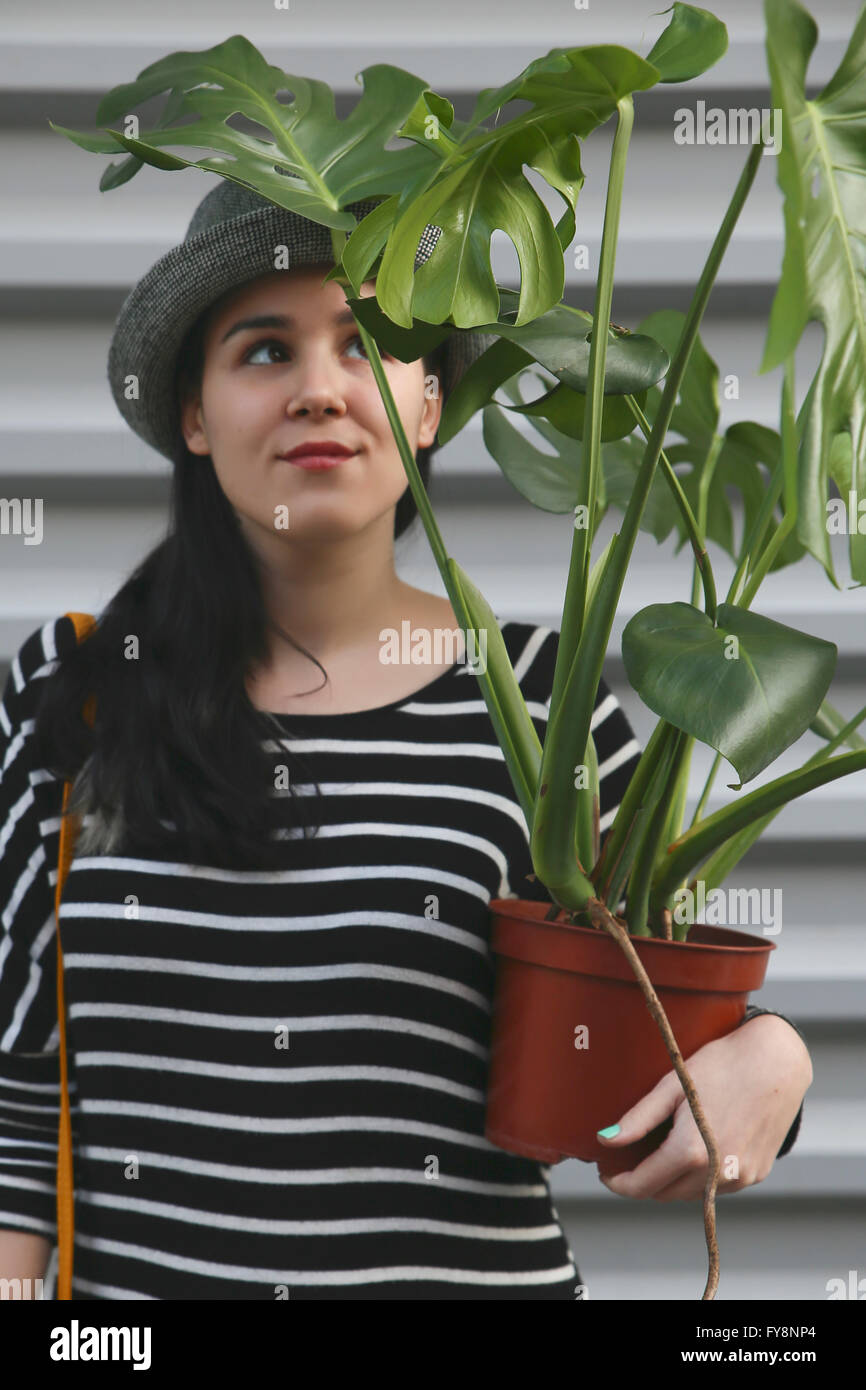 Donna con Monstera deliciosa Foto Stock