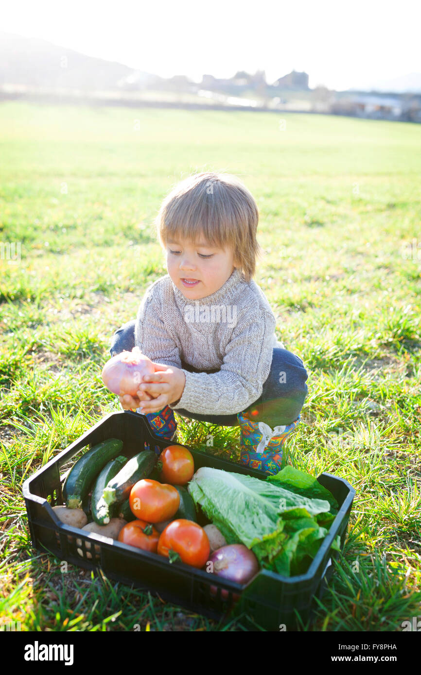 Ragazzo accovacciato sul prato con cesto pieno di verdure Foto Stock