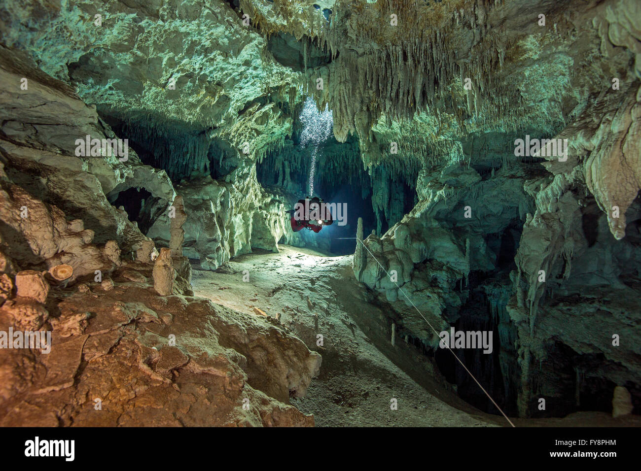 Messico, Yucatan, Tulum, grotta subacqueo nel sistema Dos Pisos Foto Stock