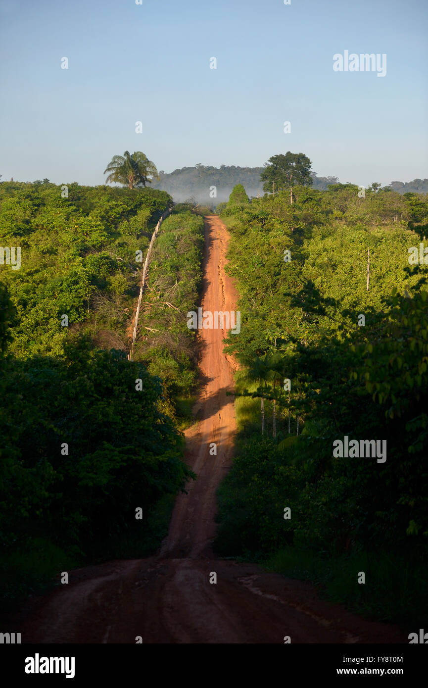 Il Brasile, para la foresta pluviale amazzonica, strada sterrata Foto Stock