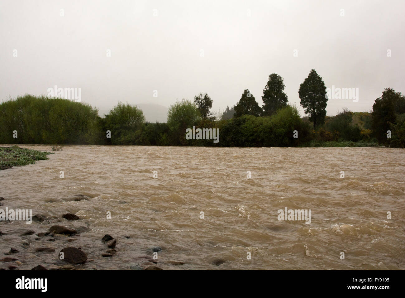 Dopo la pioggia alla fine di settembre 2013 Pakuratahi fiume in maggiore Wellington in Nuova Zelanda inondato le sue rive. Foto Stock