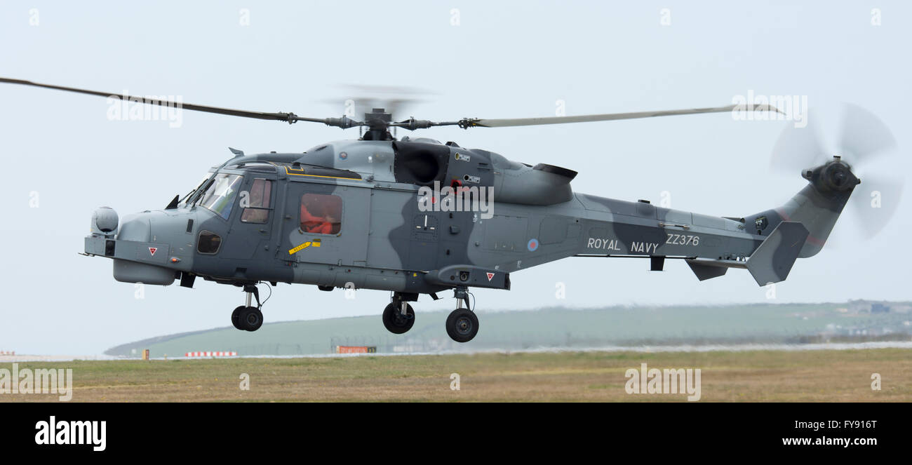 Royal Navy Wildcat elicottero a Newquay Airport/RAF St Mawgan, durante l'esercizio Griffin sciopero Foto Stock
