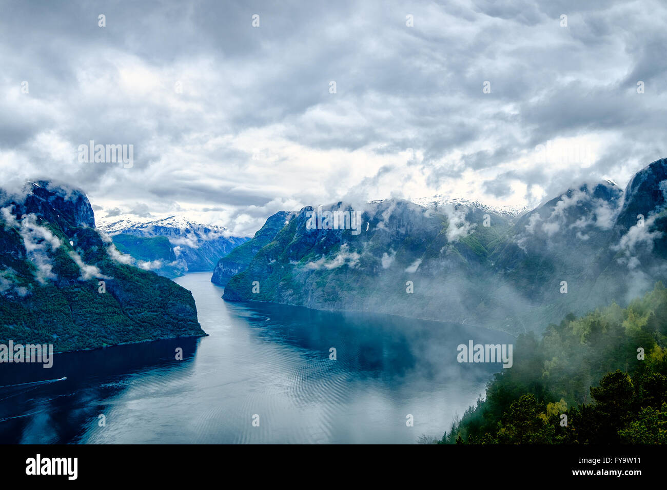 La bellissima natura della Norvegia paesaggio naturale. Hardanger fjorden, Norvegia Foto Stock