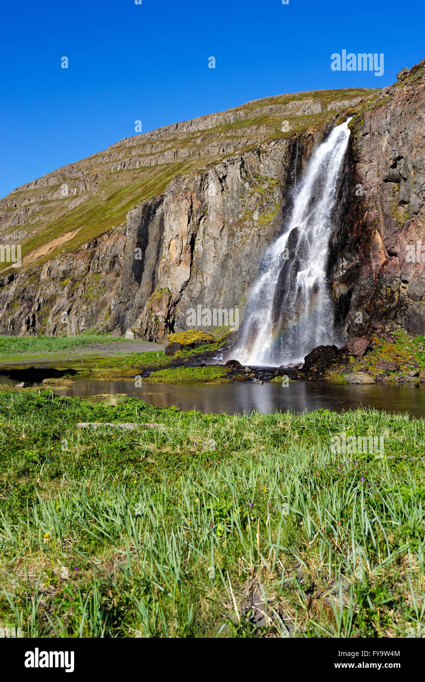 Cascata, Hornstrandir riserva naturale, Westfjords, Islanda, l'Europa. Foto Stock