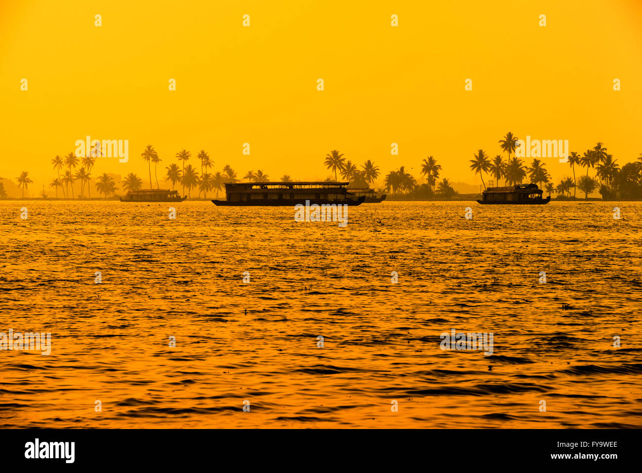Bel tramonto paesaggio con case galleggianti in Kerala backwaters e silhouette di palme, viaggi sfondo, India Foto Stock