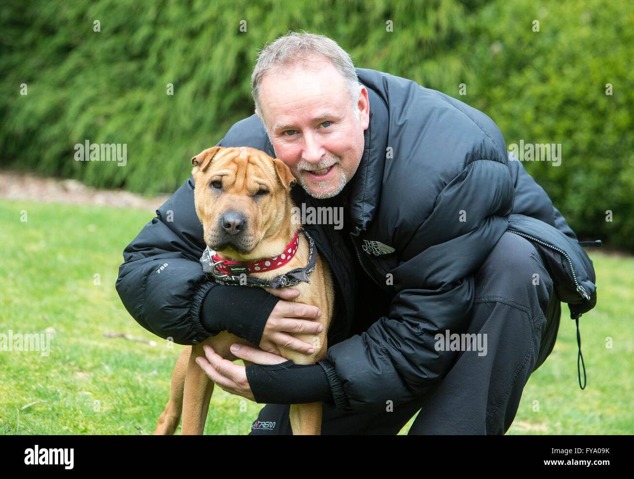 Salvataggio cane Kai Shar Pae si mescolano con il proprietario Ian Russell Foto Stock