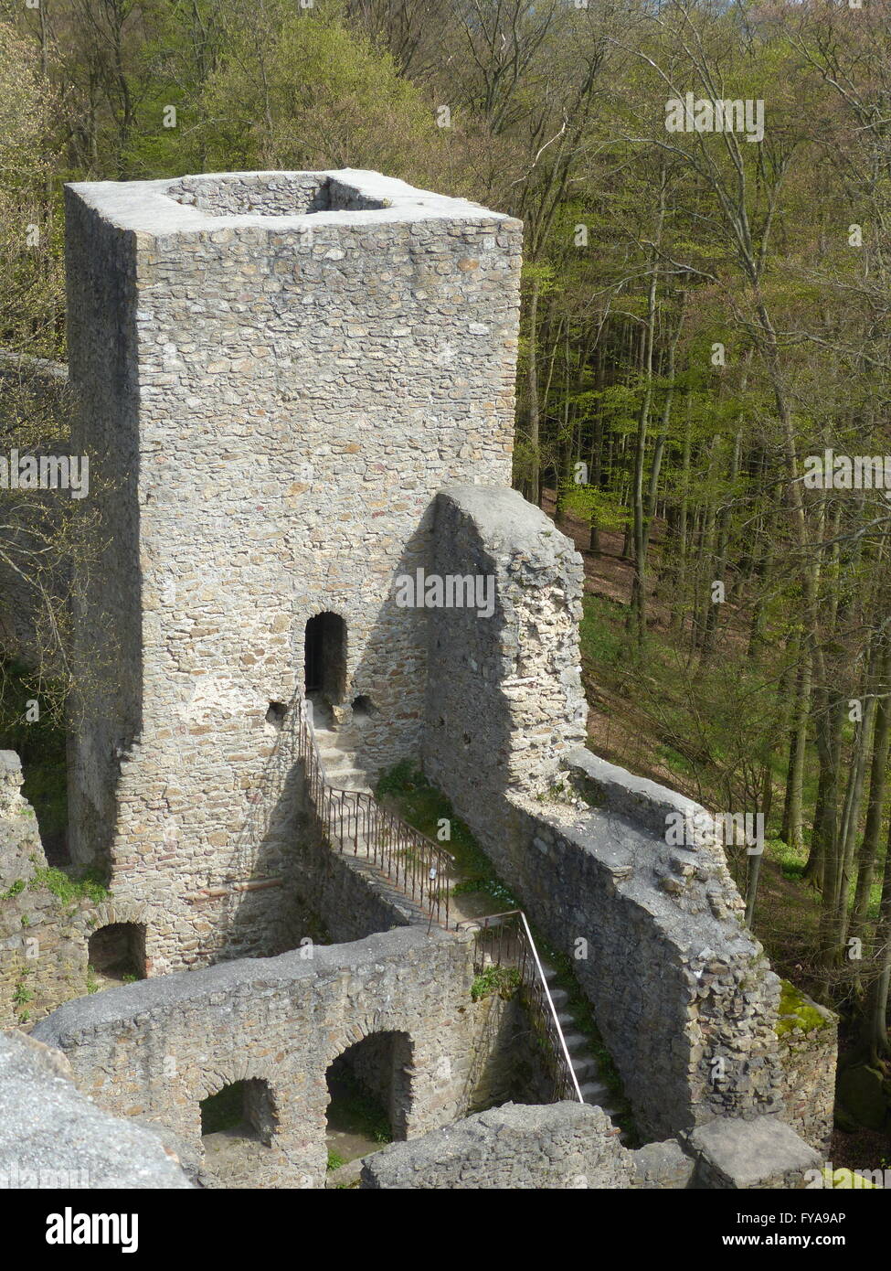 Xii secolo la fortezza in pietra Choustnik in Boemia del Sud Foto Stock