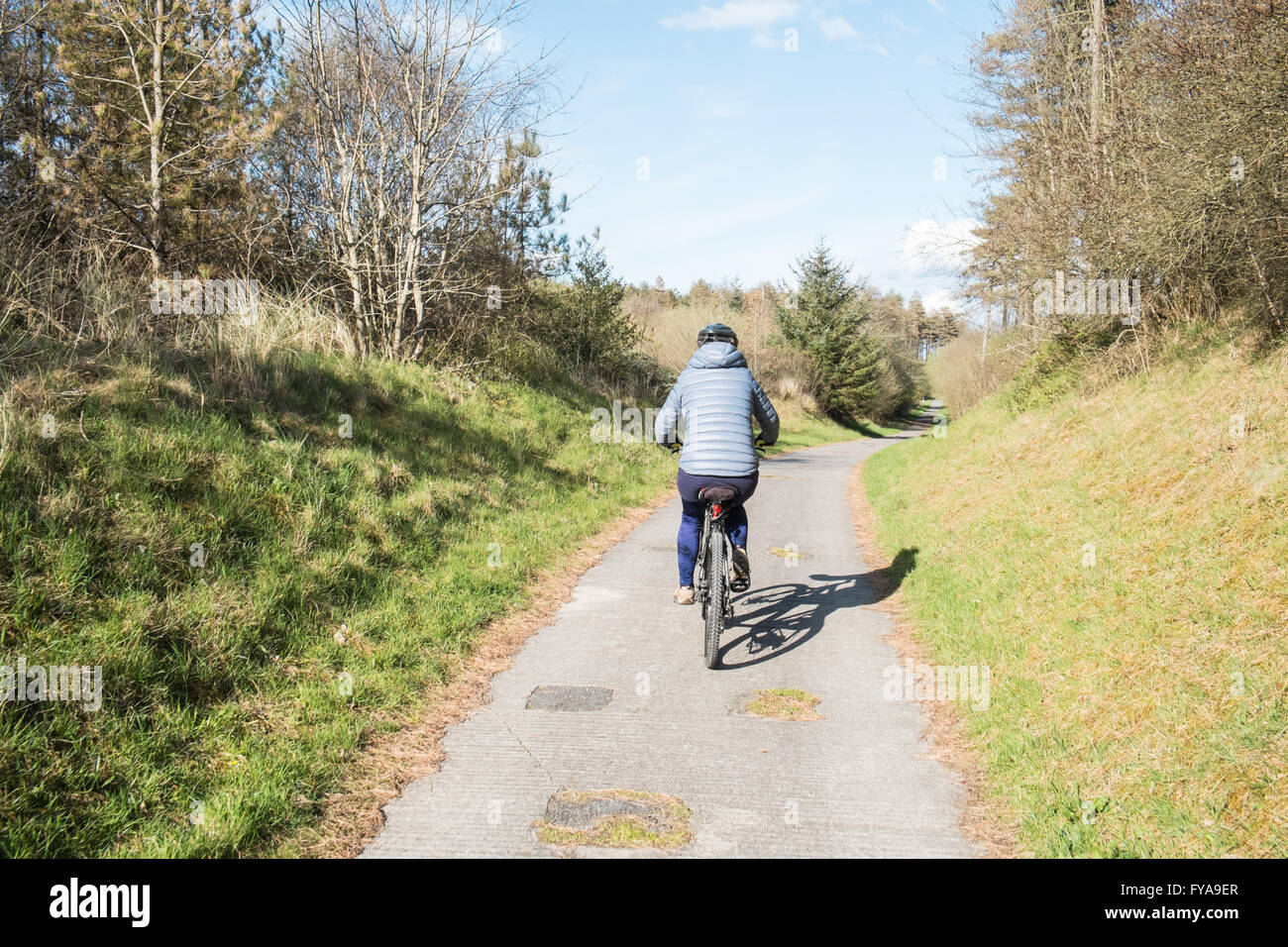 Donna sul ciclismo ciclismo nazionale di instradamento di rete 4,Londra a Fishguard.Da qui sul sentiero attraverso la foresta di pini a Pembrey Country Park. Foto Stock