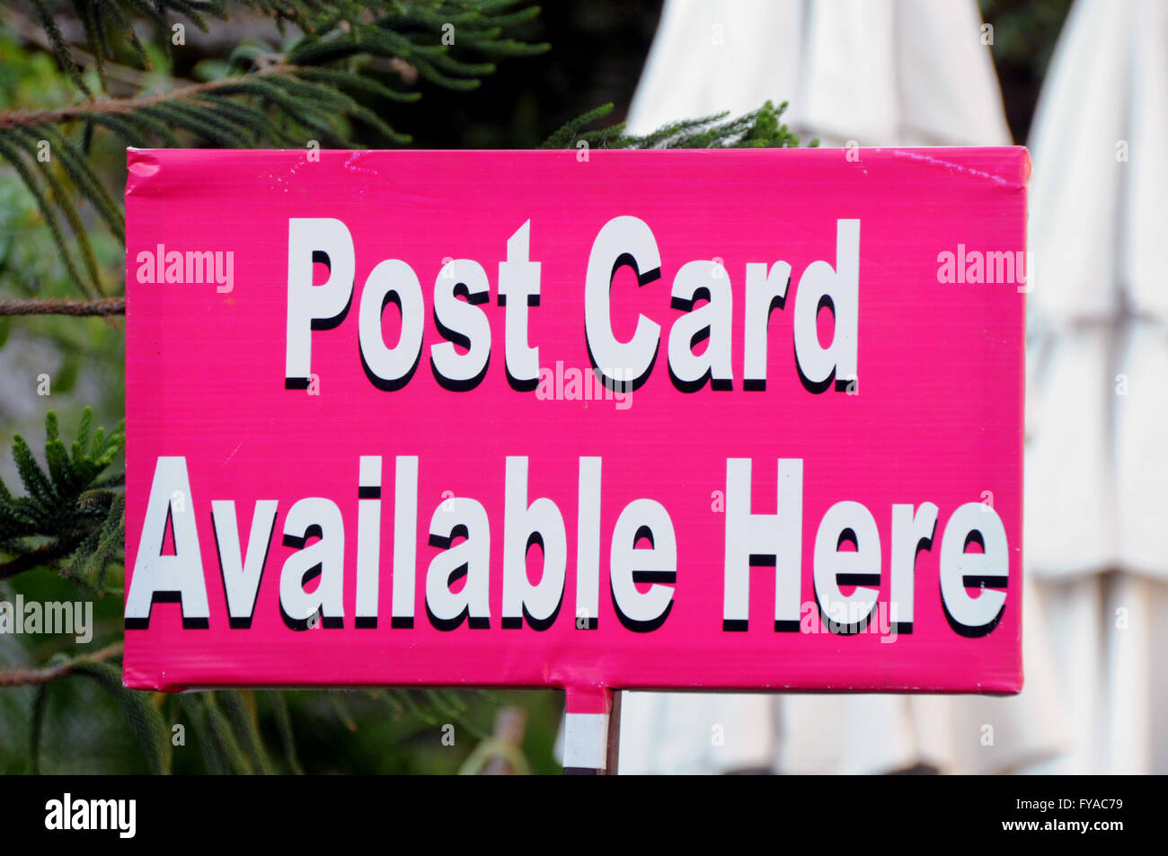 Un segno pubblicità cartoline per la vendita nel nord della città indiana di Udaipur. Foto Stock