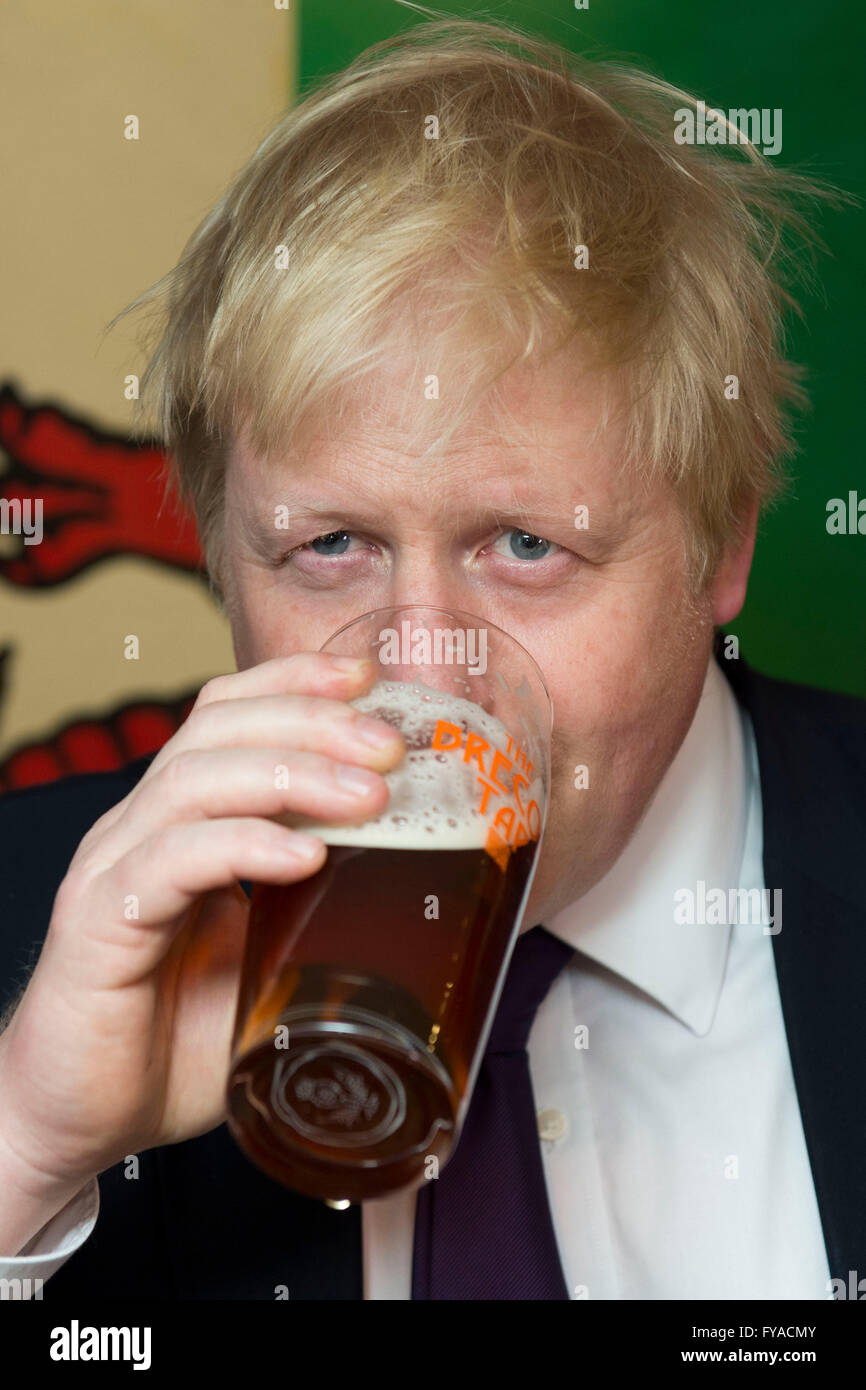 Boris Johnson segretario di Stato per gli affari esteri e la MP tenendo una pinta di birra in un pub. Foto Stock