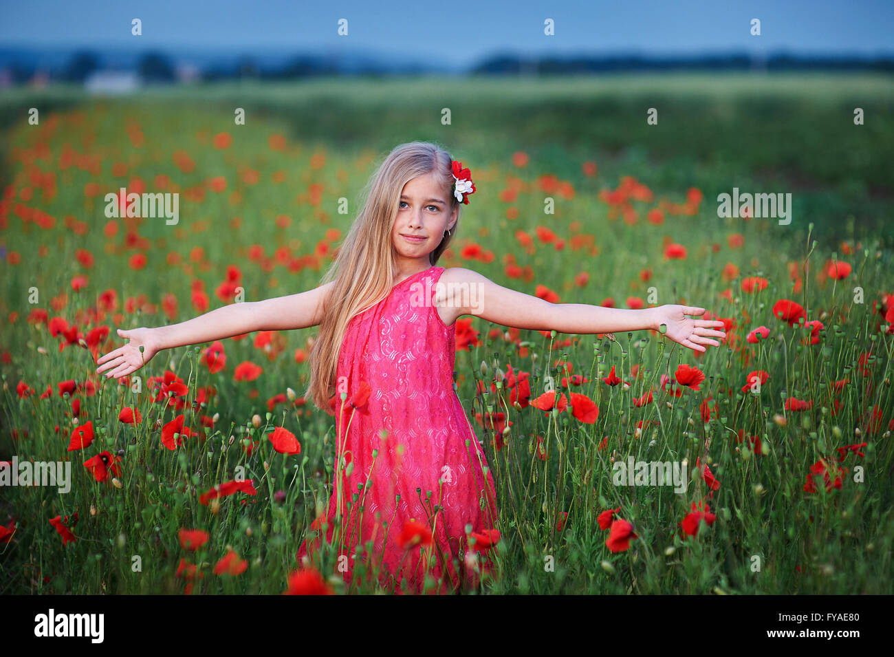Bella ragazza in abito rosso passeggiate al campo di papavero Foto Stock