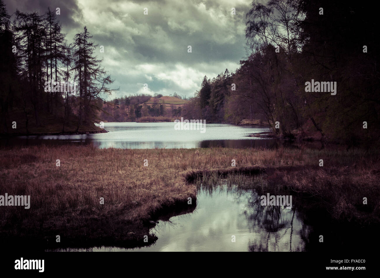 Nuvole temporalesche su Tarn Hows nel Lake District Cumbria.nel tardo pomeriggio. Foto Stock