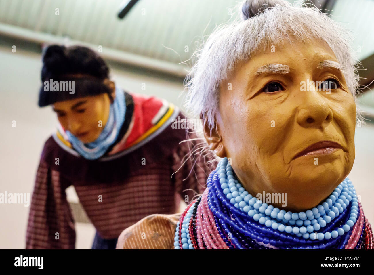 Florida,Sud,FL,Riserva indiana Big Cypress Seminole Tribe,Museo Indiano Ah-Tah-Thi-Ki Seminole,interno,mostra collezione,vita Foto Stock