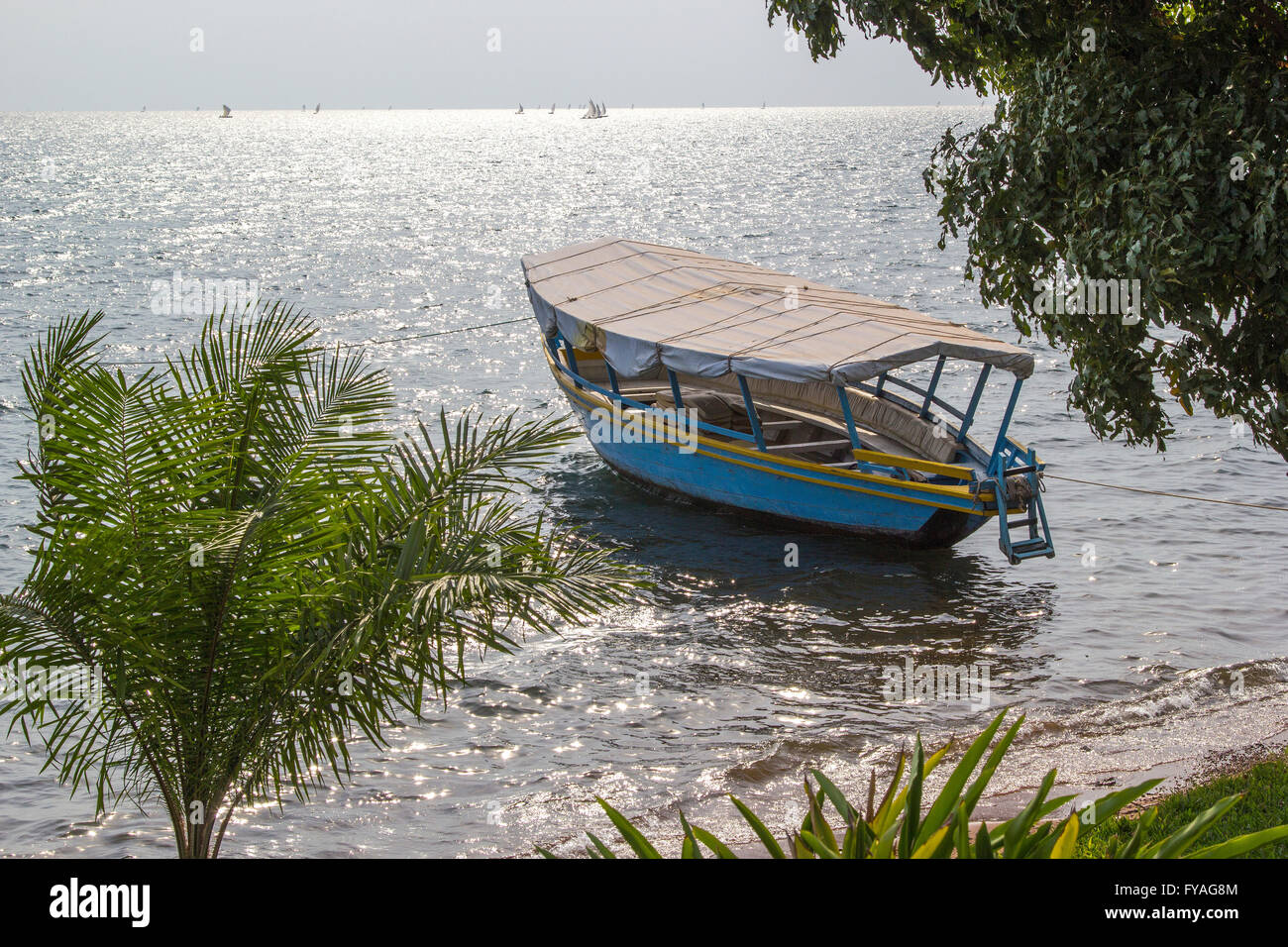 Floating imbarcazione turistica ormeggiate vicino la luminosa spiaggia con palme ventoso. Il lago Victoria, Tanzania Foto Stock